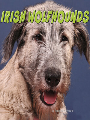 cover image of Irish Wolfhounds